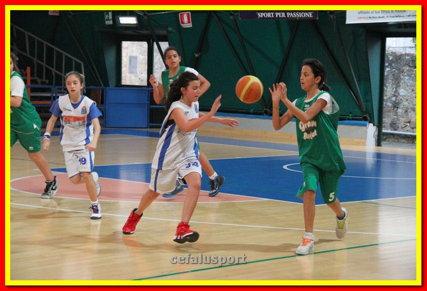 140301 GM_basket 240_tn.jpg